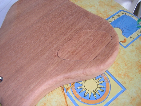 la trape électronique en place.JPG